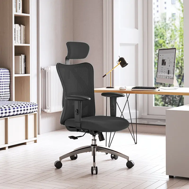 Ergonomic Office Chair with Adjustable Lumbar Support
