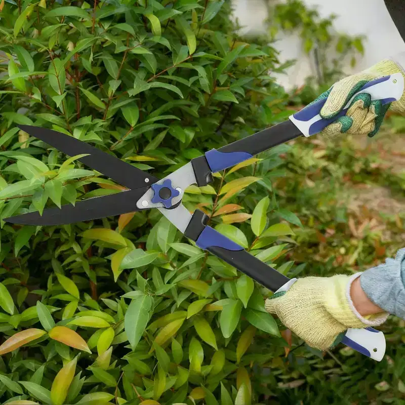 macchine e progetti per l'esterno