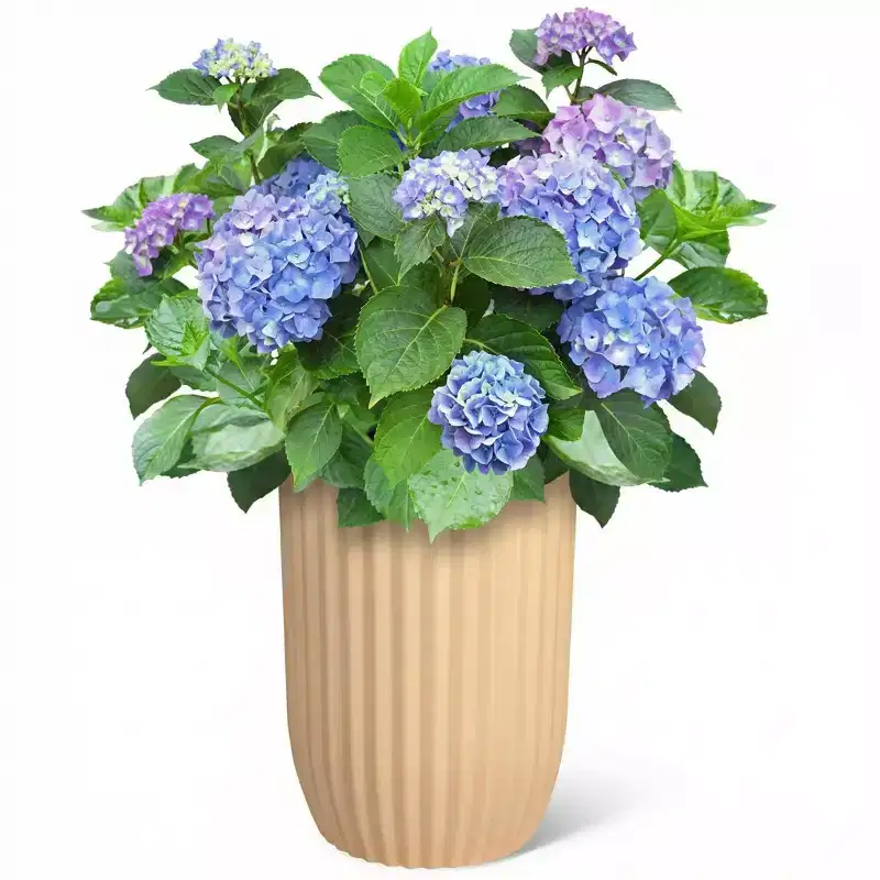 2Pcs 31 Tall Flower Pot Set, Outdoor Automatic Watering Flower Pots with Water Level Monitor, Suitable for Indoor Plants, Terraces, Porches, Gardens