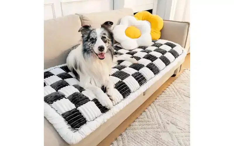 FUNNY FUZZY Pet Couch Covers for Sofa