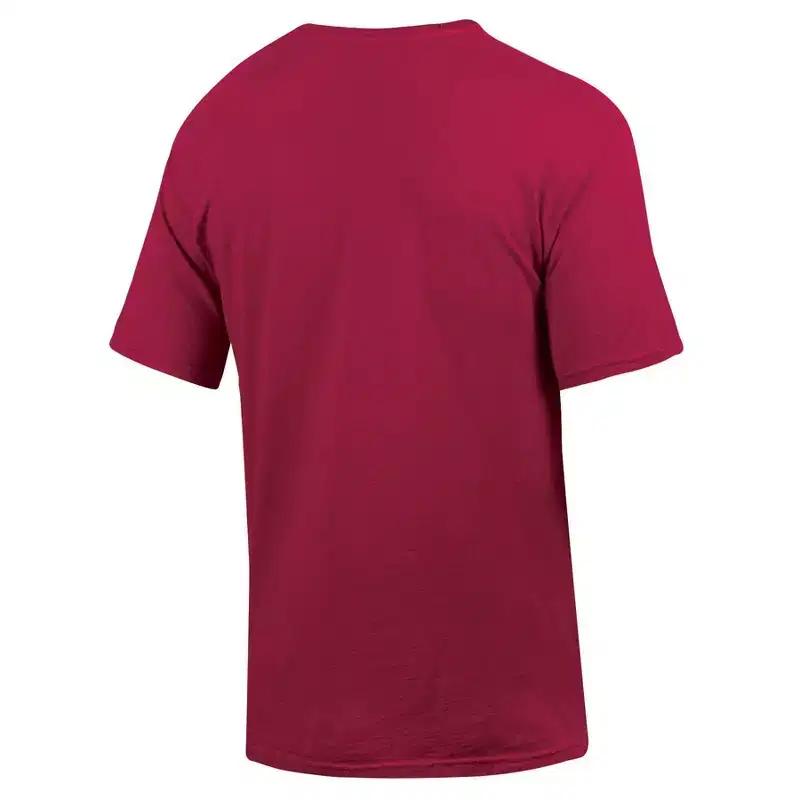 NCAA Arkansas Razorbacks Men's T-Shirt