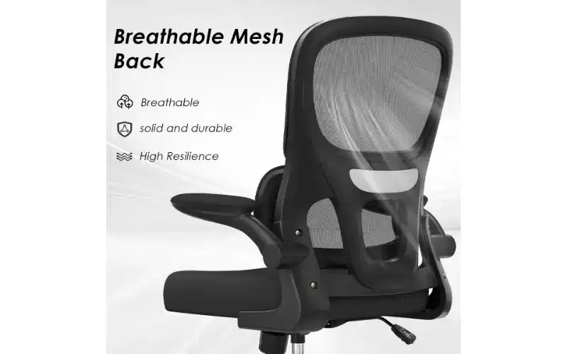 TUYOHW Double Mesh Ergonomic Office Chair, Home Office Desk Chair with Flip-Up Armrests, Computer Chair with Lumbar Support & Rolling Wheels