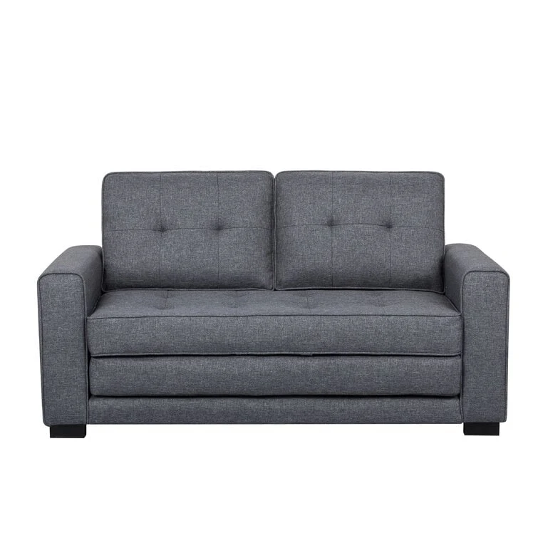 Daisy Modern Fabric Loveseat and Sofa Bed