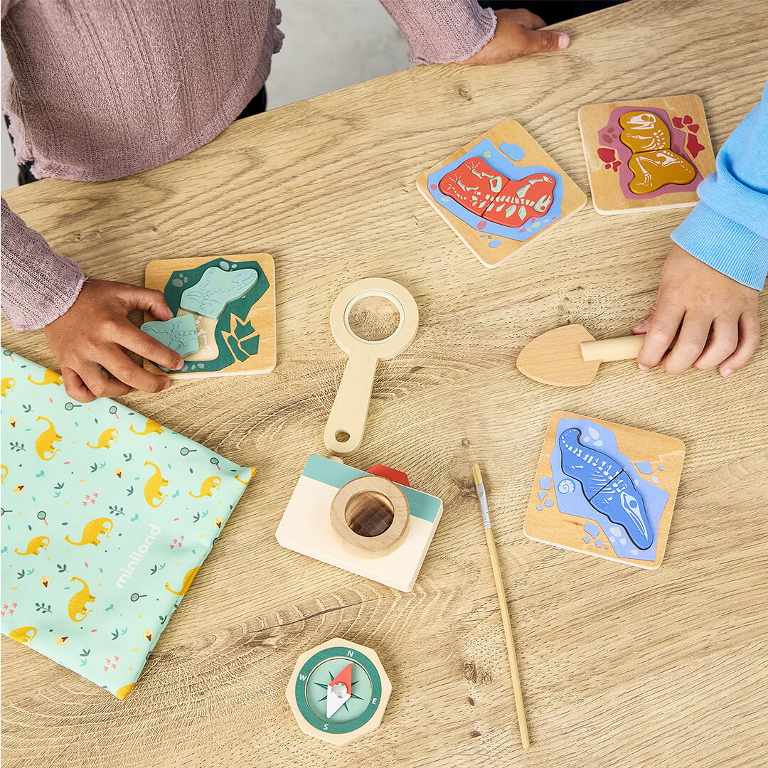 Dinosaur Archaeology Exploration Kit for Kids