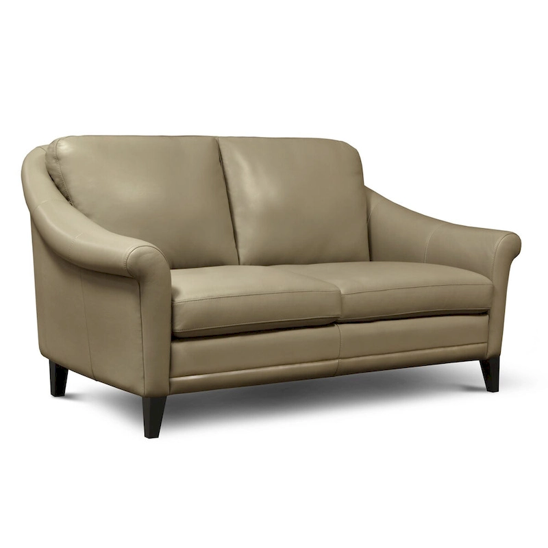Sienna 100% Genuine Leather Midcentury Modern Loveseat