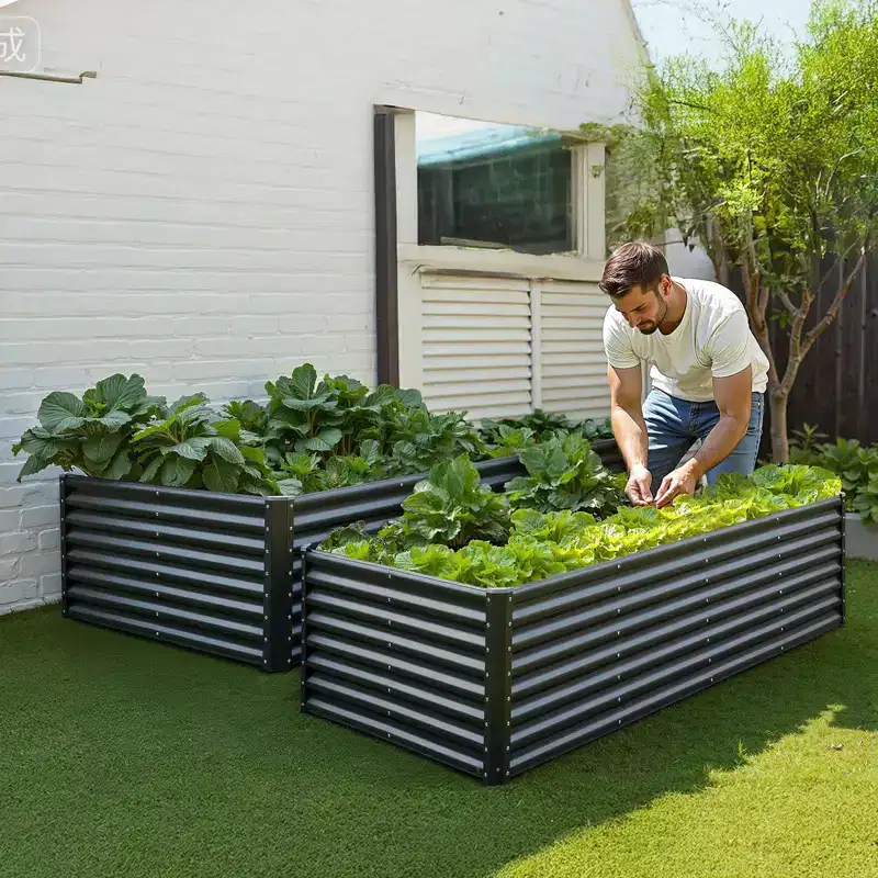 Metal Raised Garden Bed 8 x 4 x 2 ft Outdoor Galvanized Steel Planter Box for Vegetables Flowers and Herbs with Rust-Proof Panels